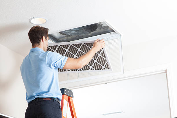 Best Air Quality Test  in Thruston, KY